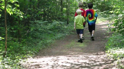 Three boys walking along trail into woods Stock Footage 27478625