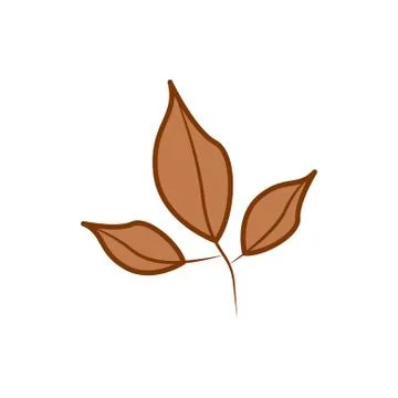 Three Branch Brown Leaf Cartoon Autumn Theme Illustration Design Stock Illustration