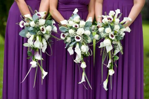 Three bridesmaids holding wedding bouquets Stock Photos