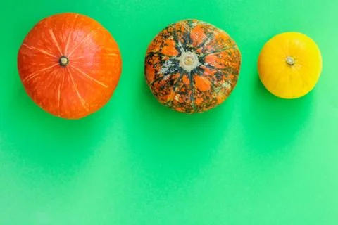 Three bright colored pumpkins on a green background. space for text, top view. Fotos de archivo