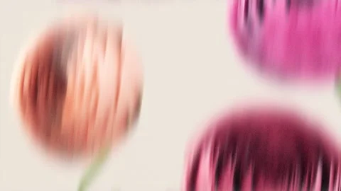 Three bright flowers forming buds with strong dynamic motion blur and grain.. Видео 337885784