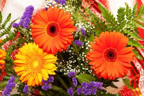 Three bright flowers Stock Photos
