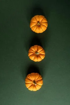 Three bright mini pumpkins in a row on a green background, autumn and holiday Stock Photos