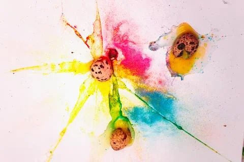 Three broken quail eggs on a background of bright blue and yello Stock Photos