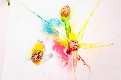 Three broken quail eggs on a background of bright blue and yello Stock Photos