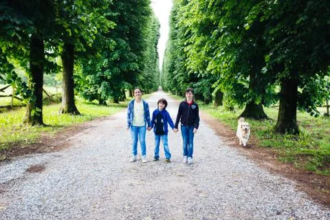 Three brothers portrait in a tree lined avenue Stock Photos