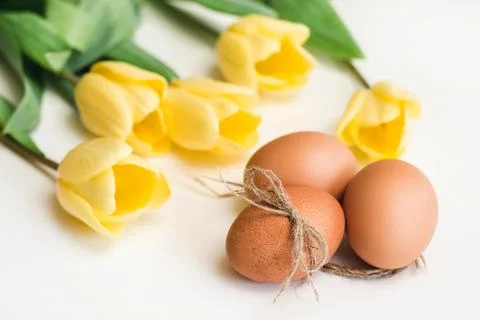 Three brown chicken eggs and yellow tulips on a white background Foto stock