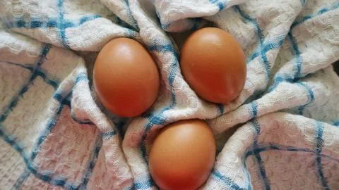 Three brown chicken eggs on a checkered kitchen towel. Stock Photos