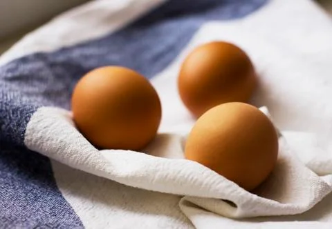 Three brown chicken eggs on a white dish towel Stock Photos