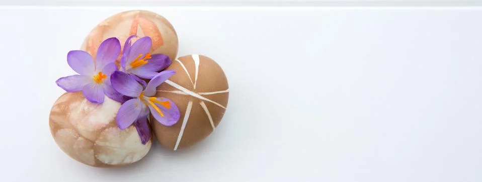 Three brown easter eggs and purple crocus . Foto stock