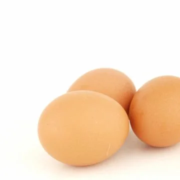Three brown eggs isolated on white background Stock Photos