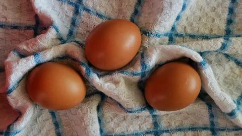 Three Brown Eggs Resting on Folded Checkered Kitchen Towel Stock Photos
