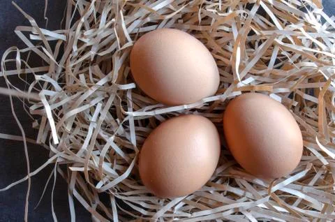 Three Brown Organic Eggs In Nest Stock Photos