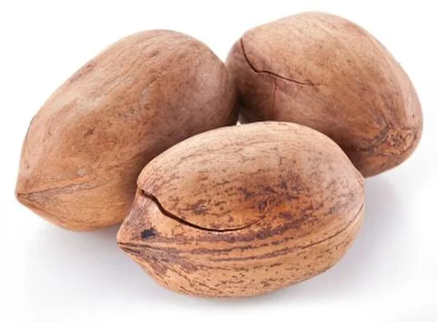 Three brown pecans with natural texture on white background Stock Photos