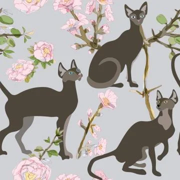 Three brown siamese or sphinx cats in sakura flowers on a blue background sea Stock Illustration