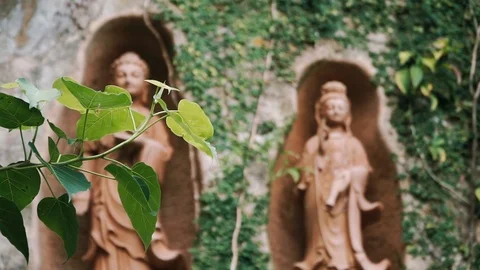 Three Buddhist Deities See Through Leaf Stock Footage 116470109