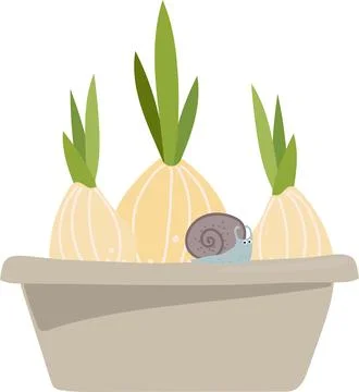 Three bulbs in a flower pot, with a small snail. Stock Illustration