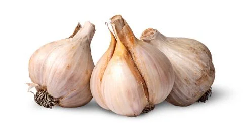 Three bulbs of garlic beside Stock Photos