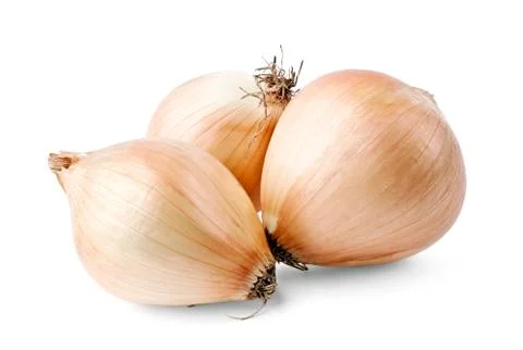 Three bulbs Stock Photos