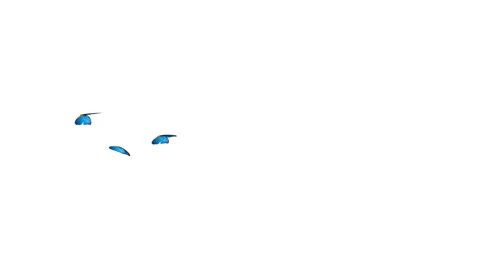 Three butterflies flying from left to right. Vídeo Stock 68904184