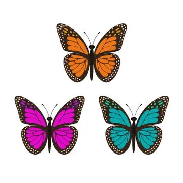 Three butterflies set. Stock Illustration