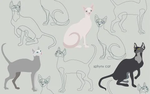 Three canadian sphinx cats vector seamless vector illustration. Felis catus. Stock Illustration