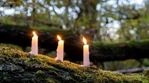 Three candles on a moss covered tree trunk in a forest in autumn. Stock Photos