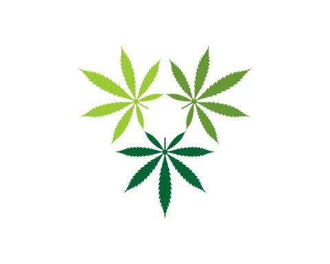 Three cannabis leaf with triangle shape logo Stock Illustration