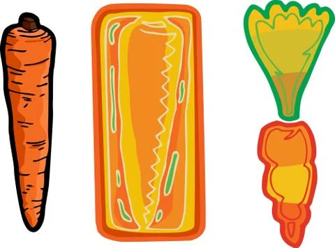 Three Carrots Stock Illustration