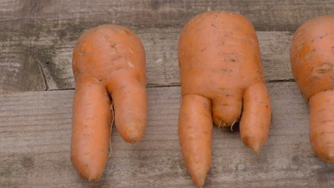 Three carrots of unusual shape close-up. Видео 115691361