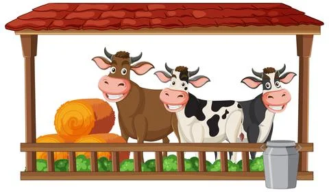 Three Cartoon Cows in Barn with Hay and Milk Can Stock Illustration