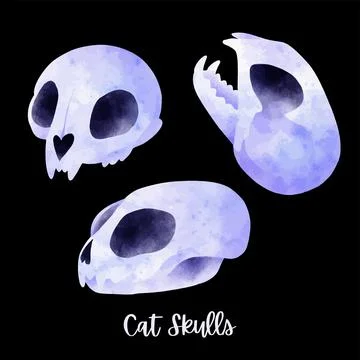 Three cat skull, cute cartoon drawing, hand drawn Stock Illustration