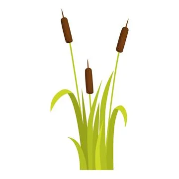 Three cattails growing in green grass blades Stock Illustration