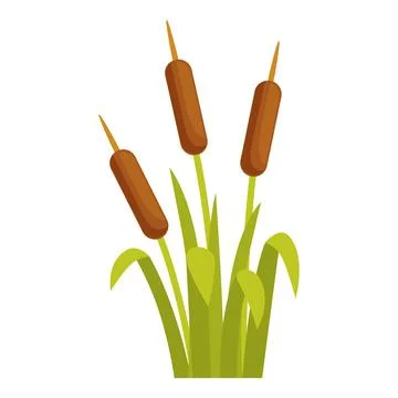 Three cattails growing in green swamp grass Stock Illustration
