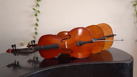 Three cellos lined up on a black piano in a room Video stock 347813810