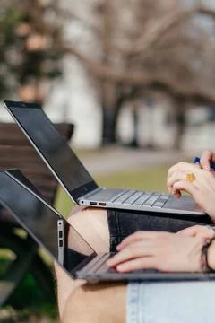 Three cheerful students study and work together outdoors on a sunny day, using Stock Photos
