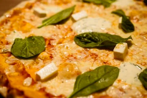 Three cheese thin crust freshly baked pizza with basil leaves on top on a wooden Stock Photos