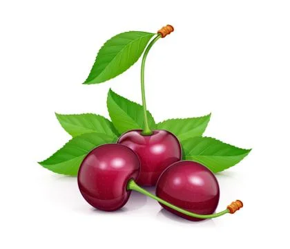 Three Cherries with green leaf. Fresh, juicy, ripe fruit. Stock Illustration