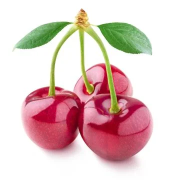 Three cherries on a stem isolated on white Foto stock