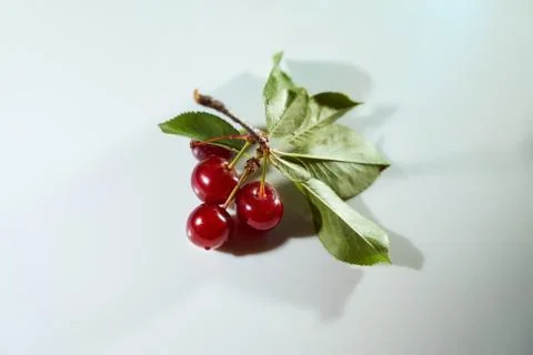 Three cherry with leaves on a white background with blue highlights and shado Stock Photos