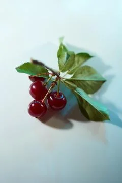 Three cherry with leaves on a white background with blue highlights and shado Stock Photos