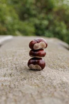Three chestnuts balancing on top of each other on a stone in Vysehrad Prague Stock Photos