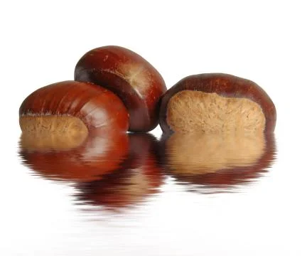 Three chestnuts Stock Photos