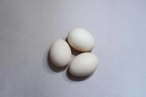 Three chicken eggs on the grey background. Stock Photos