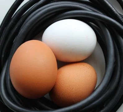Three chicken eggs inside a circle of coiled black electrical cables Stock-Fotos