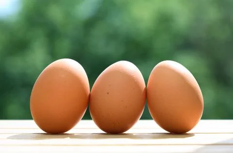 Three Chicken Eggs Stock Photos