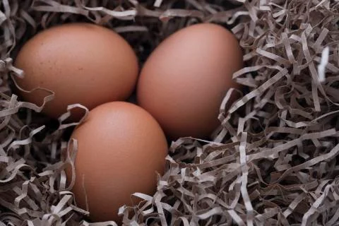 Three chicken eggs Stock Photos