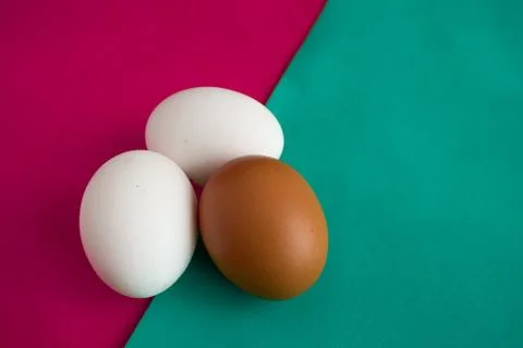 Three chicken eggs on table with green, turquoise and red background. Stock-Fotos