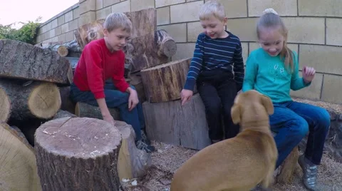 Three children 5-9 years laugh and talk. Three happy children sit on logs. Video stock 56087545