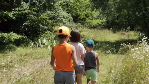 Three children exploring a forest trail on a sunny day in nature Stock-Footage 286749412